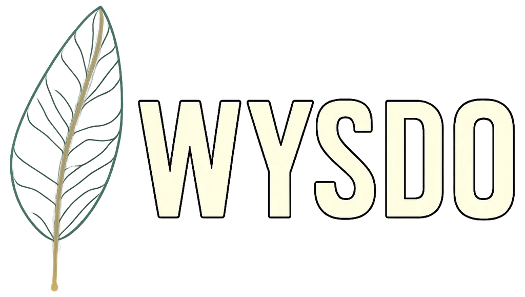 WYSDO